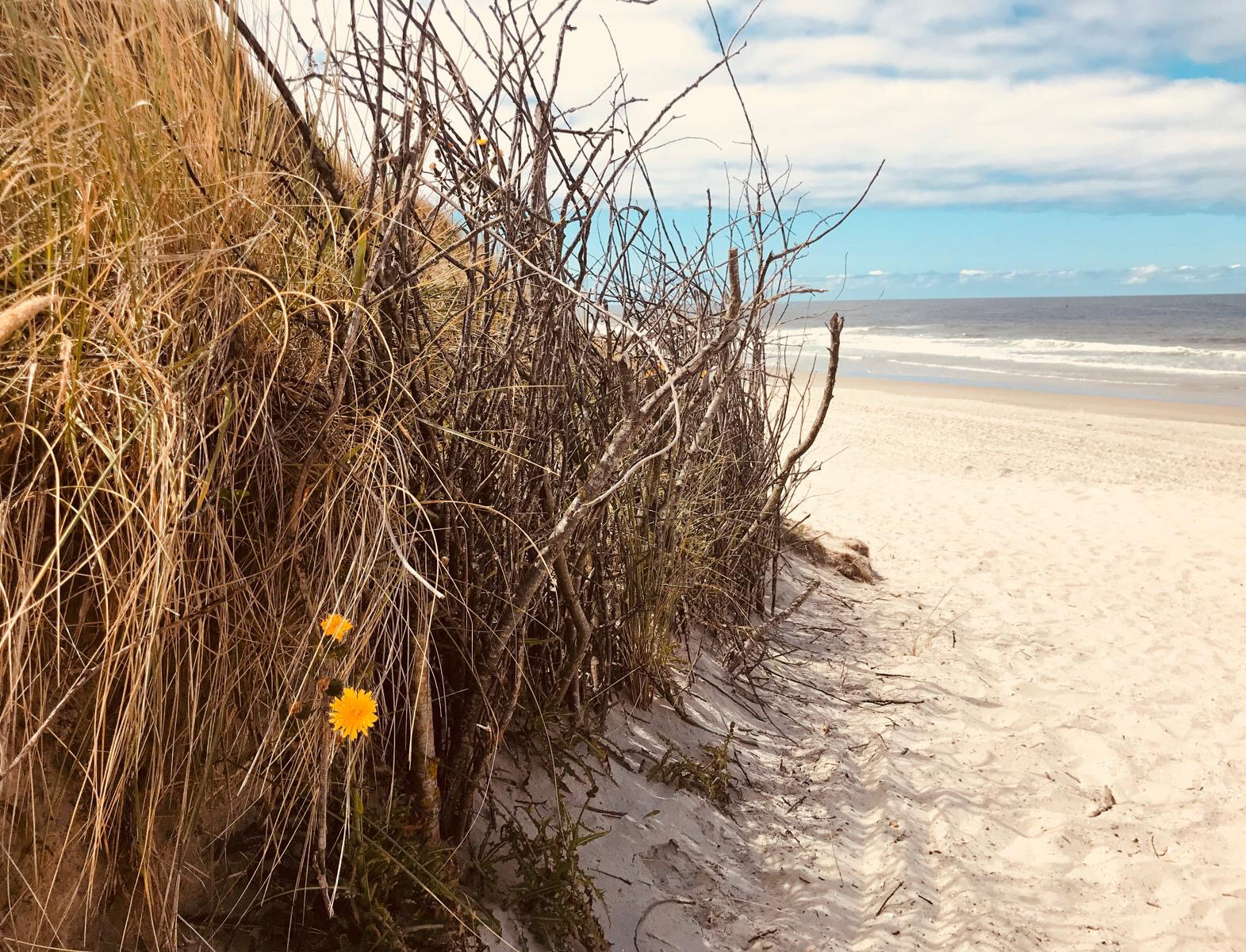 Dünenweg mit Blick auf den Strandzugang